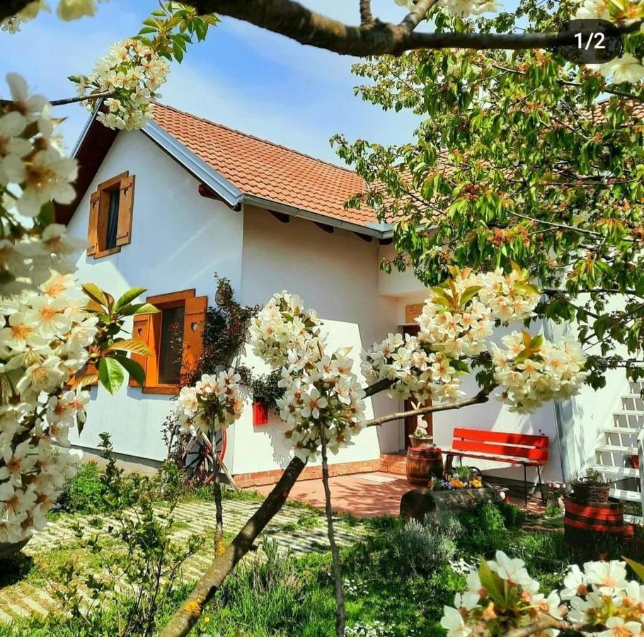 Kuca Za Odmor "Dva Srca" Hotel Ceminac ภายนอก รูปภาพ