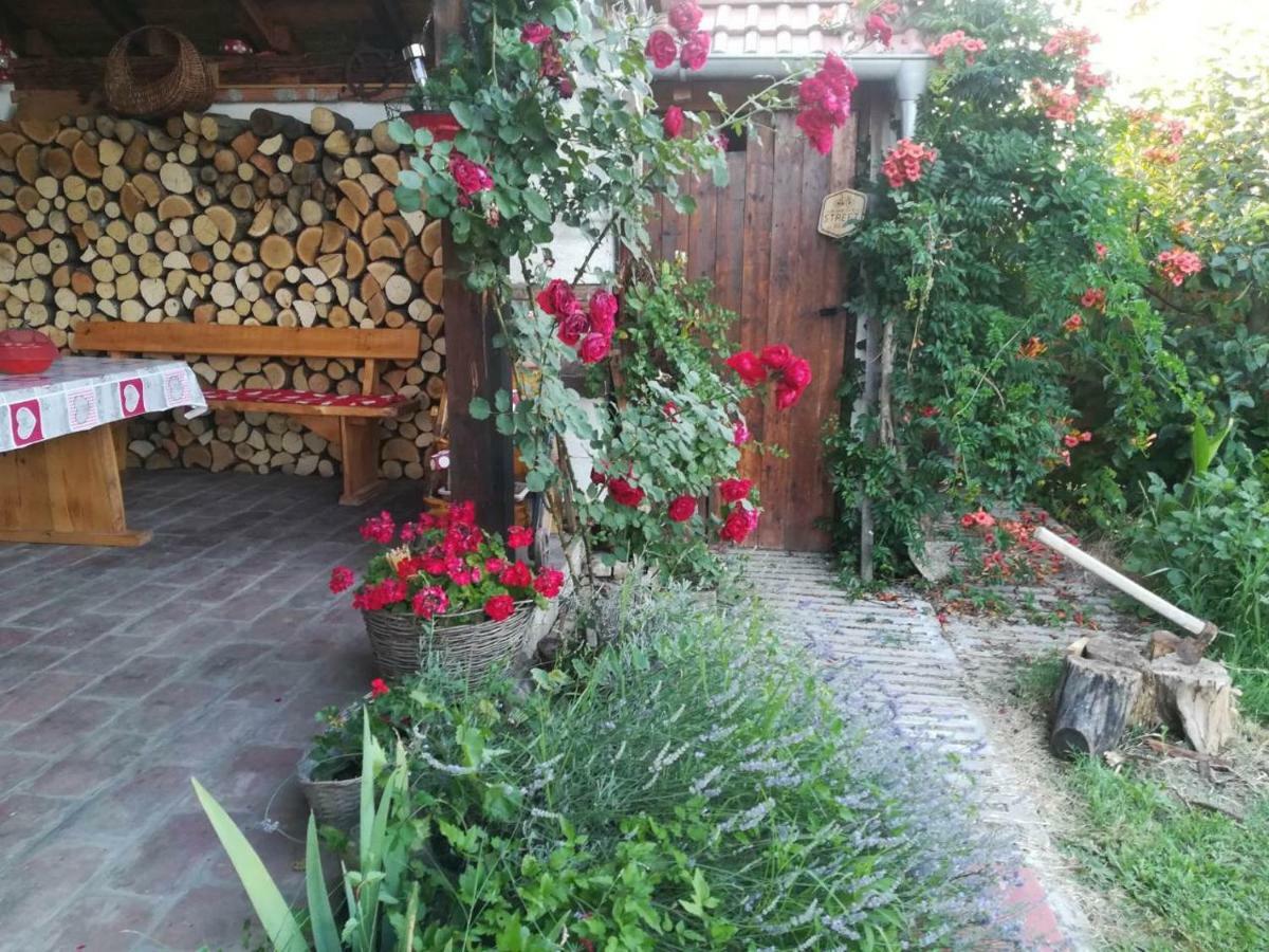 Kuca Za Odmor "Dva Srca" Hotel Ceminac ภายนอก รูปภาพ